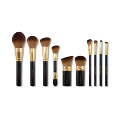 Brush Vault Limited Edition Makeup Brush Collection (10 PC)